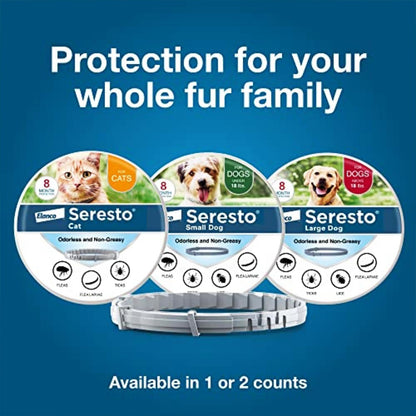 Flea & Tick Collar for Large Dogs