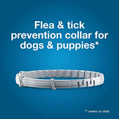 Flea & Tick Collar For Small Dogs